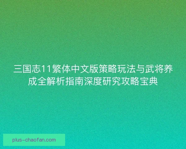 三国志11繁体中文版策略玩法与武将养成全解析指南深度研究攻略宝典